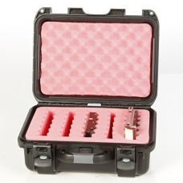 Maletín TURTLE CASE #519:  5 x HDD 3,5