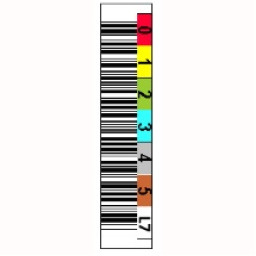 Etiqueta Ultrium LTO-7 - 6dig. Horiz./Color/barcode/