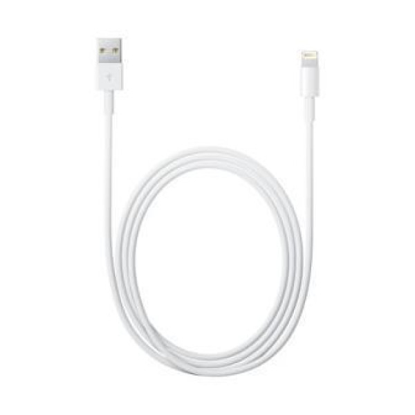 CABLE LIGHTNING A USB (2M)