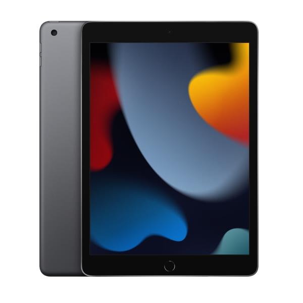 IPAD WI-FI 256GB SPG