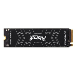 FURY RENEGADE PCIE 4.0 NVME M.2 SSD