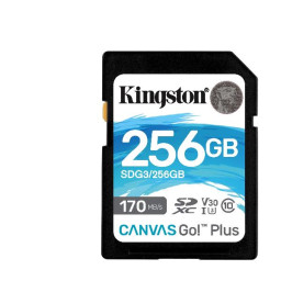 256GB SD CANVAS GO PLUS 170R C10