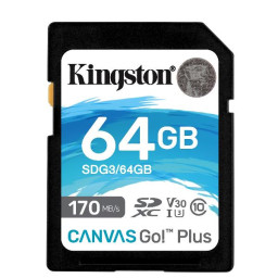 64GB SD CANVAS GO PLUS 170R C10