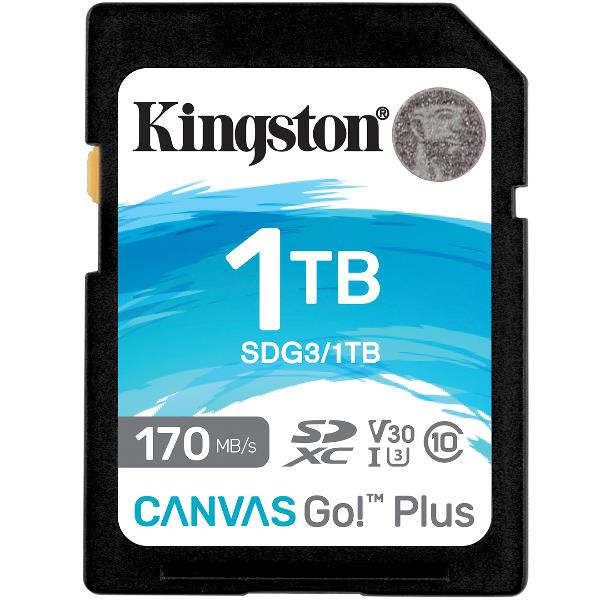 1TB SD CANVASGOPLUS 170R