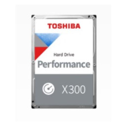 X300 - HDD 6TB (256MB)